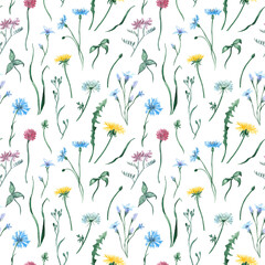 Watercolor seamless patter with beautiful delicate wildflowers