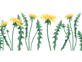 Seamless horizontal border with delicate watercolor dandelions. Beautiful yellow dandelion. Perfect for stationery, invitations, textiles, digital design, greeting cards