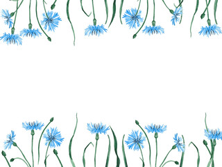 Upside down wildflowers frame with cornflowers high resolution. Rectangle floral frame with beautiful meadow flowers and buds.