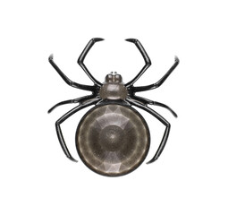 halloween plate in the shape of a spider isolated on white background