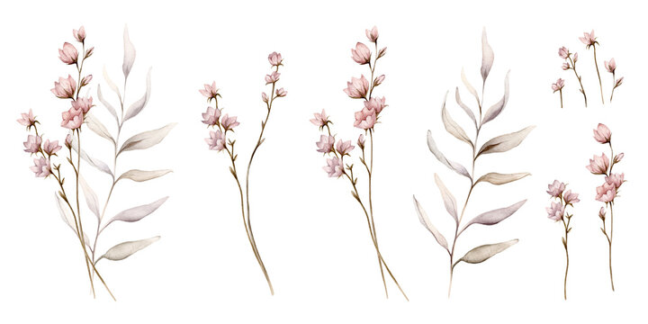 Set of watercolor botanical autumn illustration branches and light pink flowers. Autumn floral illustration. Fall vibes. Hand painted drawing isolated on white background. floral herds pastel color