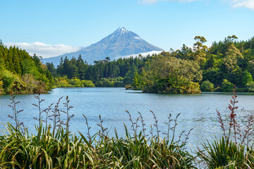 Small park under mountain Egmont 