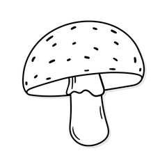 Mushroom vector icon in doodle style. Symbol in simple design. Cartoon object hand drawn isolated on white background.
