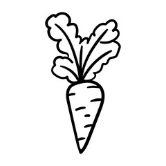 Carrot vector icon in doodle style. Symbol in simple design. Cartoon object hand drawn isolated on white background.