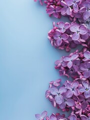 Naklejka na ściany i meble lilac flowers background.