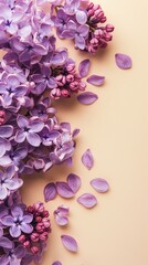 Obraz premium lilac flowers background.