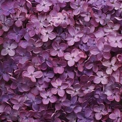 Obraz premium lilac flowers background.