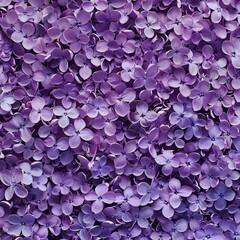 Fototapeta premium lilac flowers background.