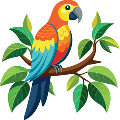 Parrot bird vector illustration