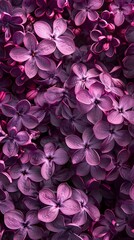 Obraz premium lilac flowers background.