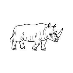Rhinoceros. Vector stock illustration eps10. Isolate on a white background, outline. Hand drawing. Adobe Illustrator Artwork