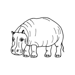 Hippopotamus. Vector stock illustration eps10. Isolate on a white background, outline. Hand drawing. Adobe Illustrator Artwork