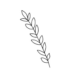Minimalist Black and White Leaf Sprig Vector Illustration