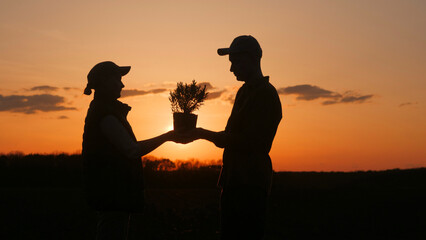 Under the sunsets glow, he hands her a plant in a happy gesture