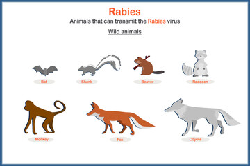Medical vector illustration in flat style. The concept of rabies vectors from wild animals such as bats, skunks, beavers, raccoons, monkeys, wolves, foxes, coyotes. © weerasak