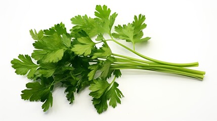 Parsley herb leaves isolated on white background cutout. Healthy food.