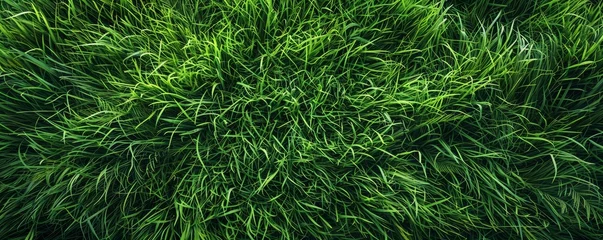 Foto op Plexiglas Lush green grass texture background © Denys