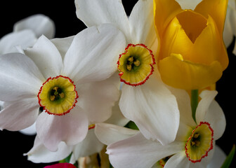 A bouquet of tulips and narcissus flowers stands in a vase