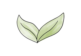 Plant watercolor doodle element, vector illustration.
