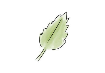 Green leaf watercolor doodle element. Vector illustration.