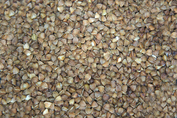 background of buckwheat