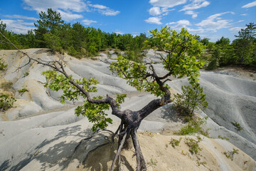 Istarska pustinja stone desert in Istria Croatia