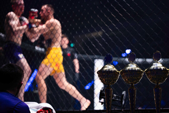 Cups standing in front of the ring where the fight takes place