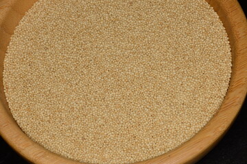 Amarant,  Amaranthus cruentus