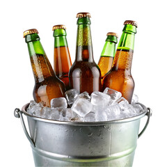 beer bottles transparent background