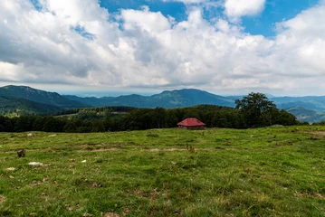 Fototapeten Isolates chalet for sheep helder on meadow with forest around and higher hills on the background in Carpathian mountains in Romania © honza28683