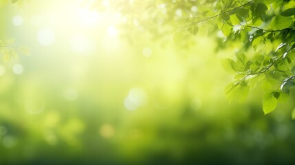 sunshine through blurred green trees, empty abstract summer or spring background banner with defocused lights and copy space. - obrazy, fototapety, plakaty