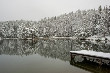 A snow-covered dock extends into a calm lake surrounded by a forest of frosted trees.