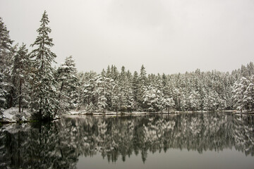 Snow-kissed trees encircle a placid lake, creating a mirror-like reflection in the water.