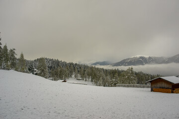 Expansive snow-covered field with a misty forest backdrop, exuding peace and solitude.