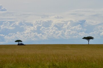 African savannah portrait of car and trees with blue sky in masai mara, kenya