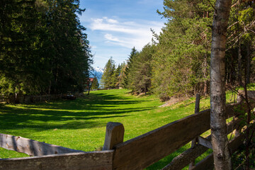 A lush green meadow bordered by a rustic wooden fence, leading to a forest with mountain views.