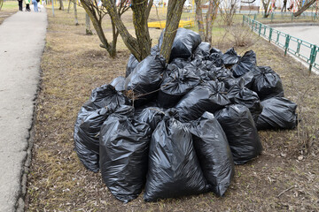 Spring garbage and last year's leaves in black bags near the tree
