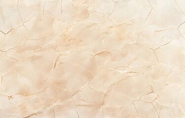 Close-up on dry mud texture background with copy space.