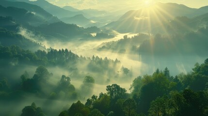 Scenic Mountain Landscape with Misty Valley in the First Light of the Sun