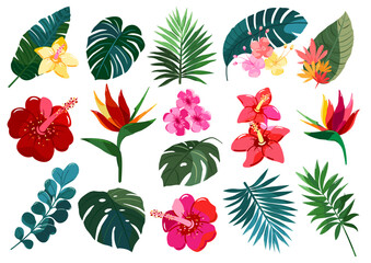 Tropical Flower and Leaf Set