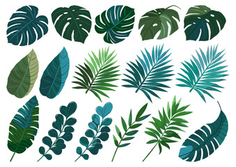 Set of illustrations of tropical leaves