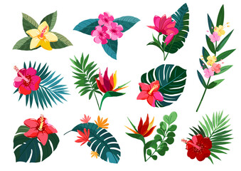 A collection of simple tropical flower designs to decorate.