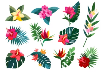 Fotobehang Tropische Bladeren A collection of simple tropical flower designs to decorate.  © Tati Star