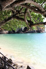 Clear Water at Phra Nang Beach