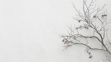 Serene minimalism, a single tree against a snowy backdrop conveying peace and solitude, perfect for calm and simplicity themes.
