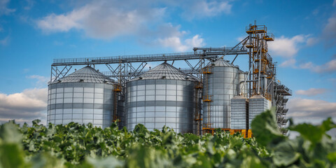 silos on agro-industrial complex with seed cleaning and drying line for grain storage - 794403279