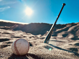 Baseball & Bat on the Beach