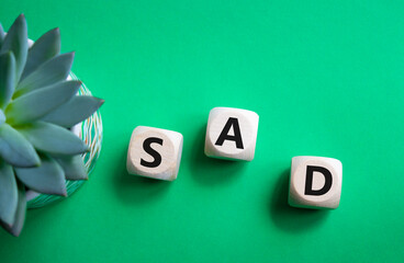 Sad symbol. Wooden cubes with words Sad. Beautiful green background with succulent plant. Business...