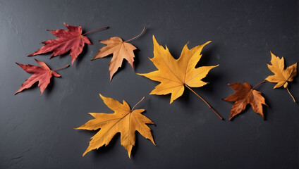 Shadowed Whispers, Fallen Leaves Close-Up Against a Slate Gray Background.