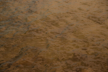 The water is brown and murky